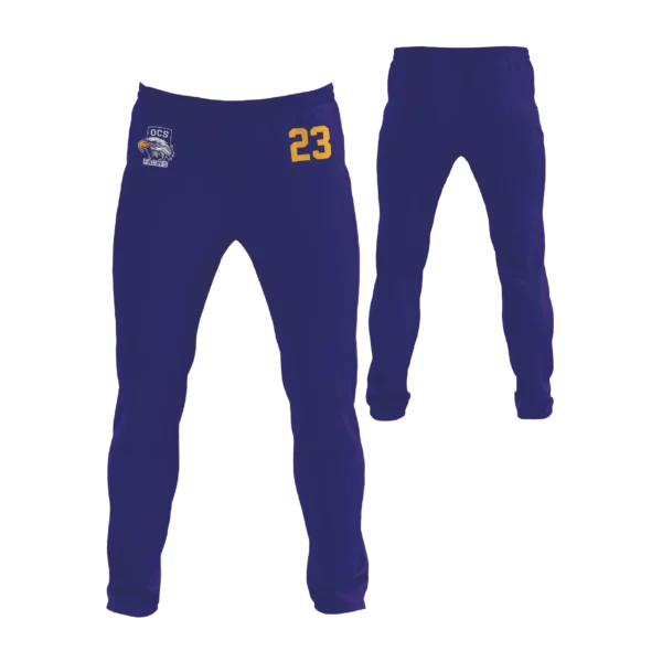 Warm Up Pant- Pockets Zipper- Eagles- purple, yellow
